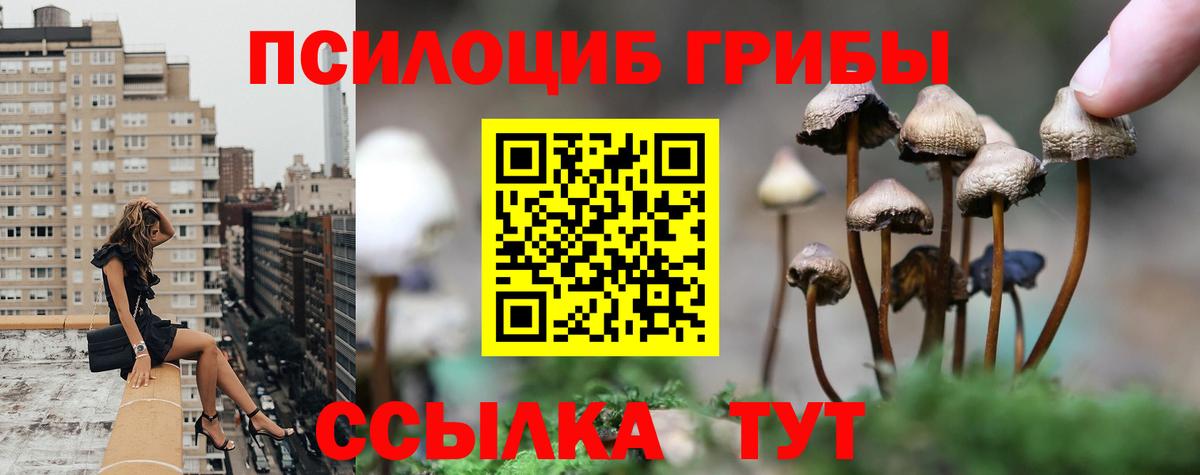 Псилоцибиновые грибы MAGIC MUSHROOMS Коломна