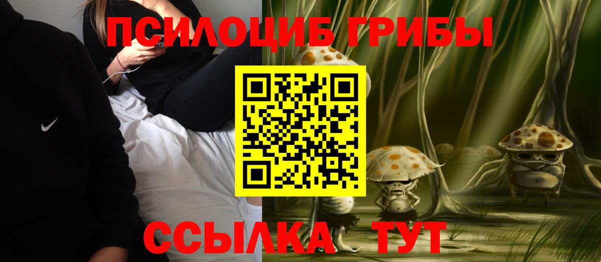 как найти наркотики  Псилоцибиновые грибы Cubensis  Коломна  Вход с VPN  Псилоцибиновые грибы Psilocybine cubensis 
